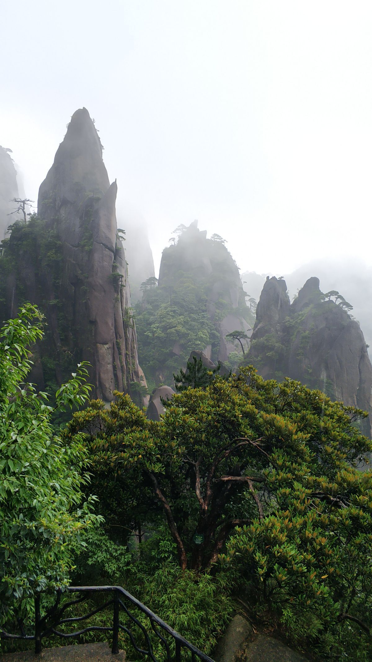 高岭之花_至高岭_高岭土