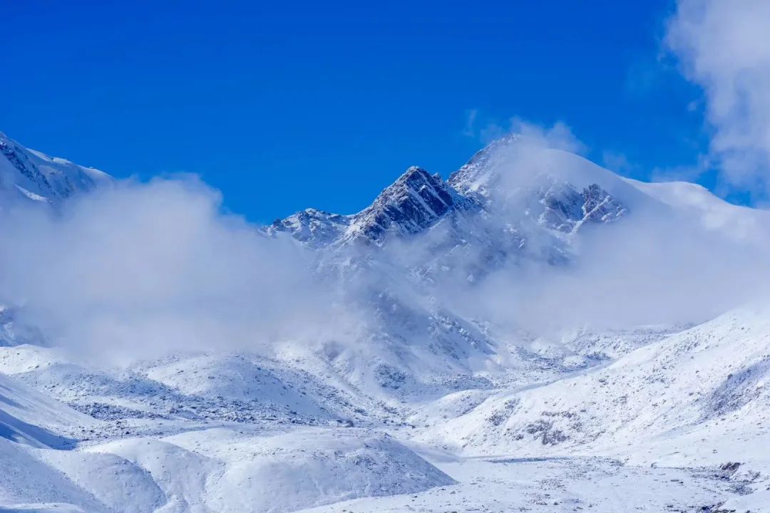 雪山走地鸡_雪山走来_走雪山