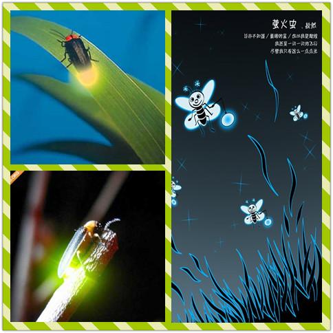 氵工虫合虫莫图片_虫加丰念什么_一个虫一个合念什么