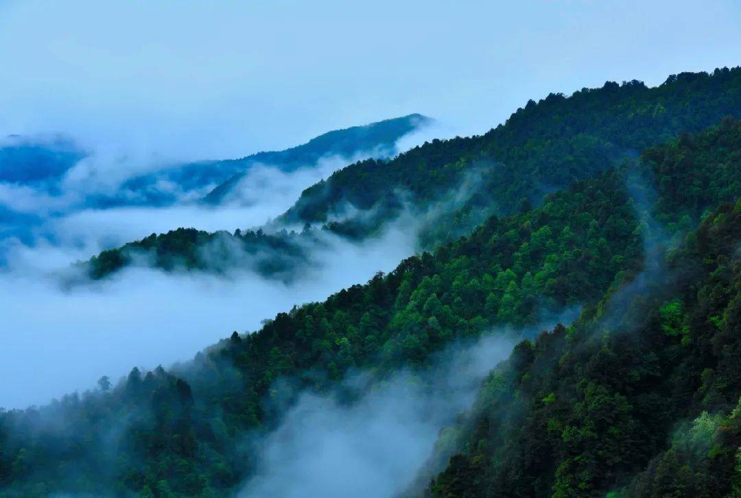 饶山大佛在哪里_饶山是哪里的城市_饶山