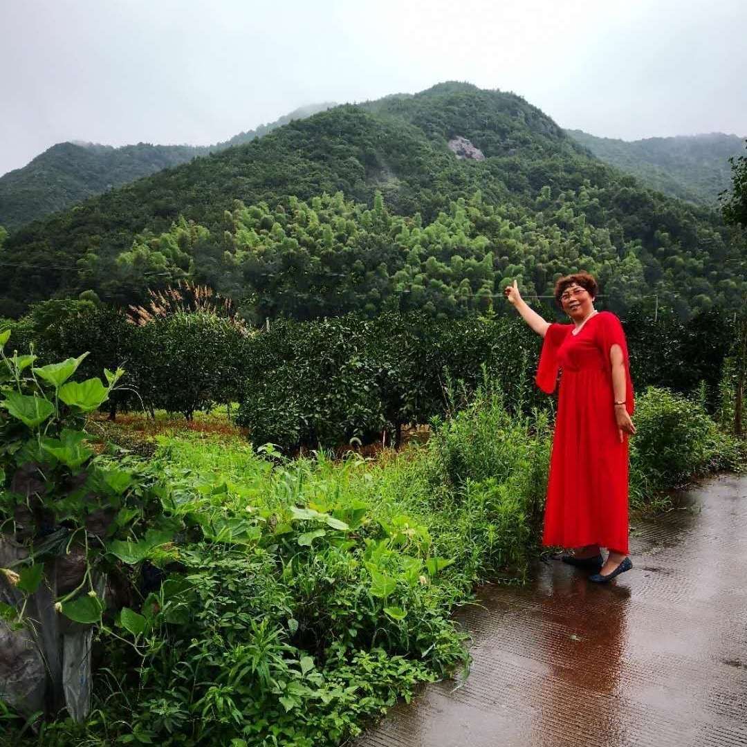 饶山是哪里的城市_饶山大佛在哪里_饶山