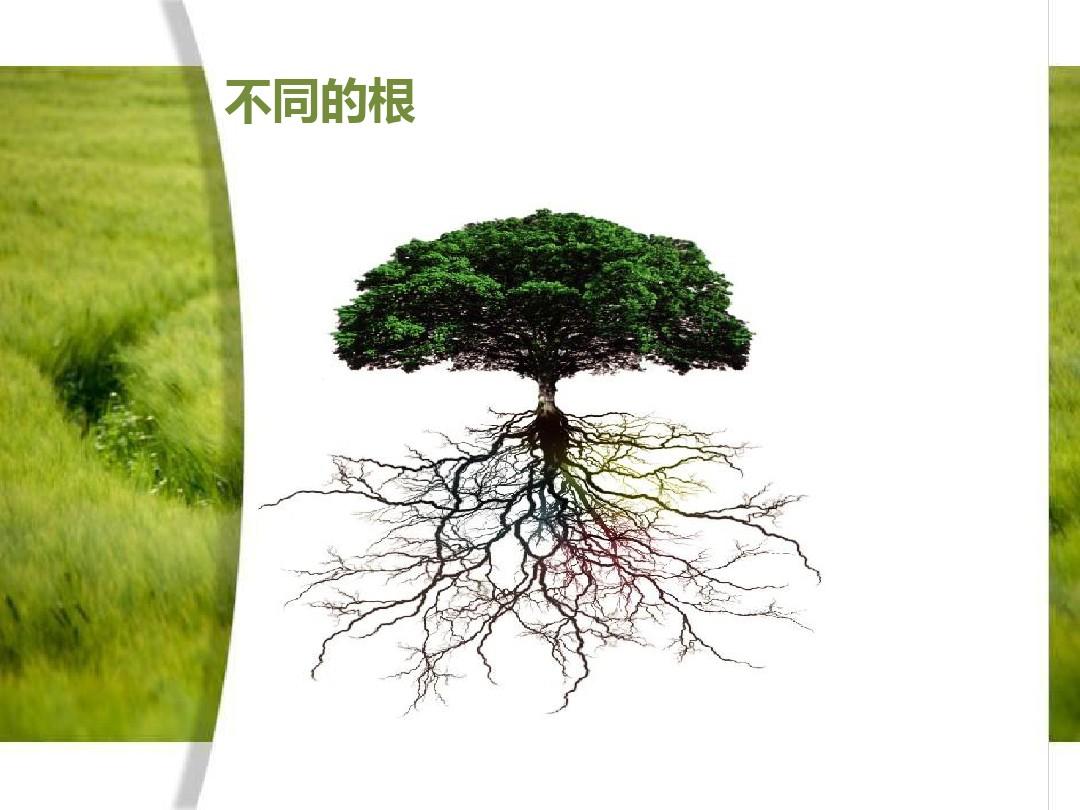 方根_根管治疗_根组词