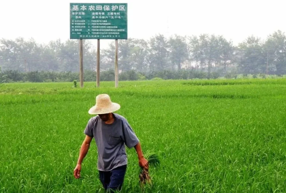 腾讯最新游戏网络游戏_腾讯最新游戏_腾讯最新游戏2023