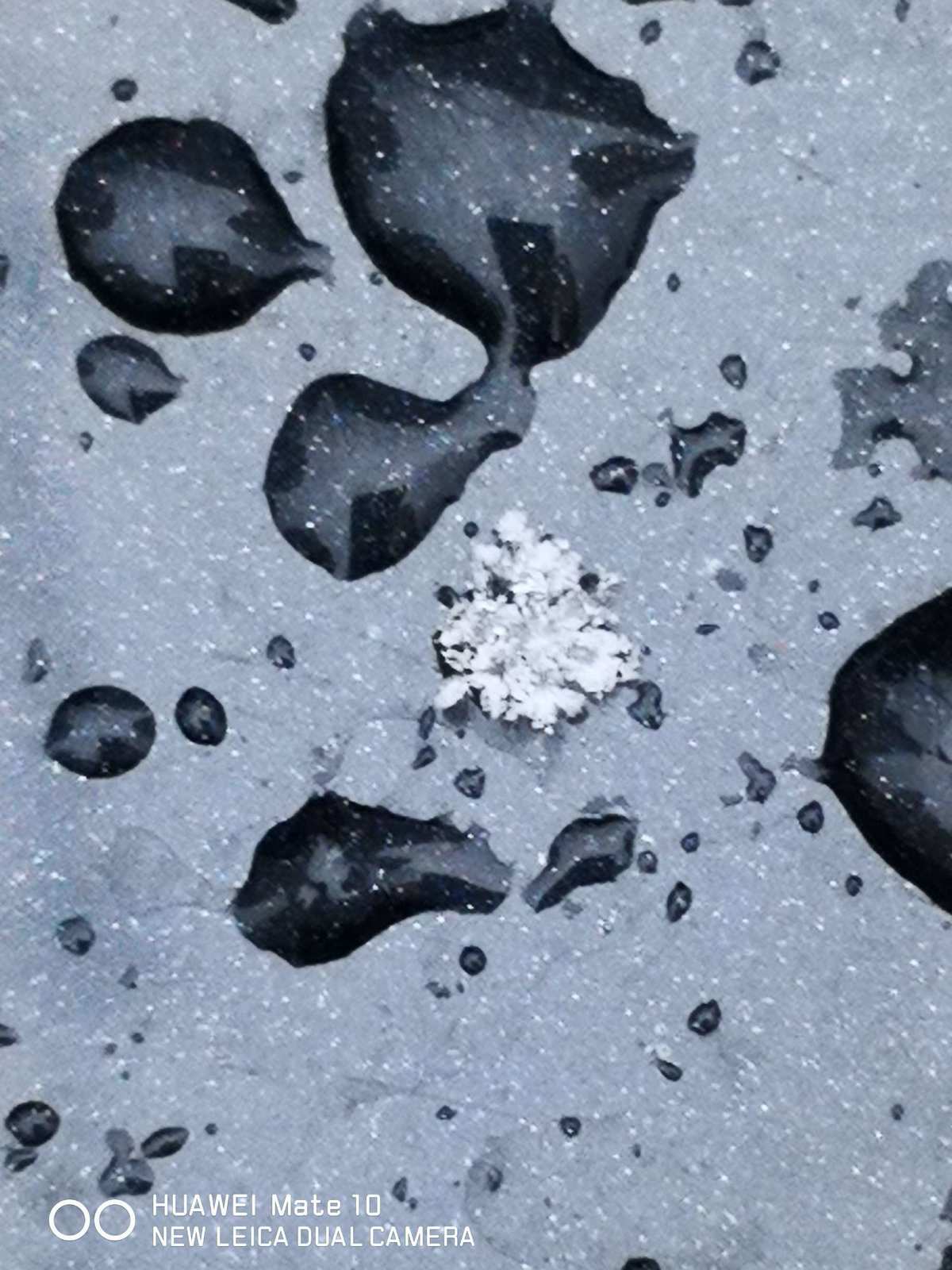 雨雪boy英雄榜_雨雪boy召唤_雨雪boy