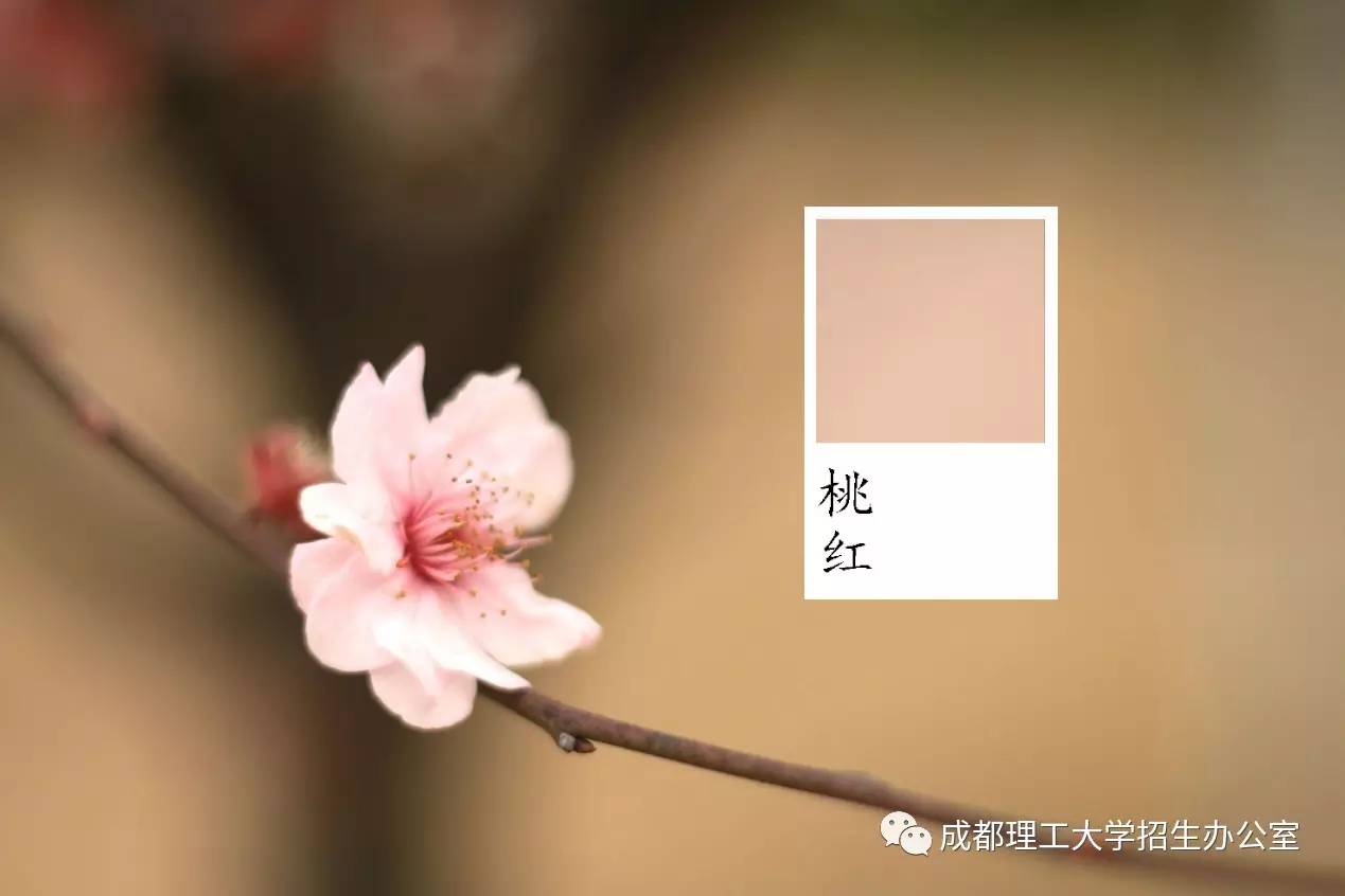 无敌版_无敌版什么意思_原色无敌版