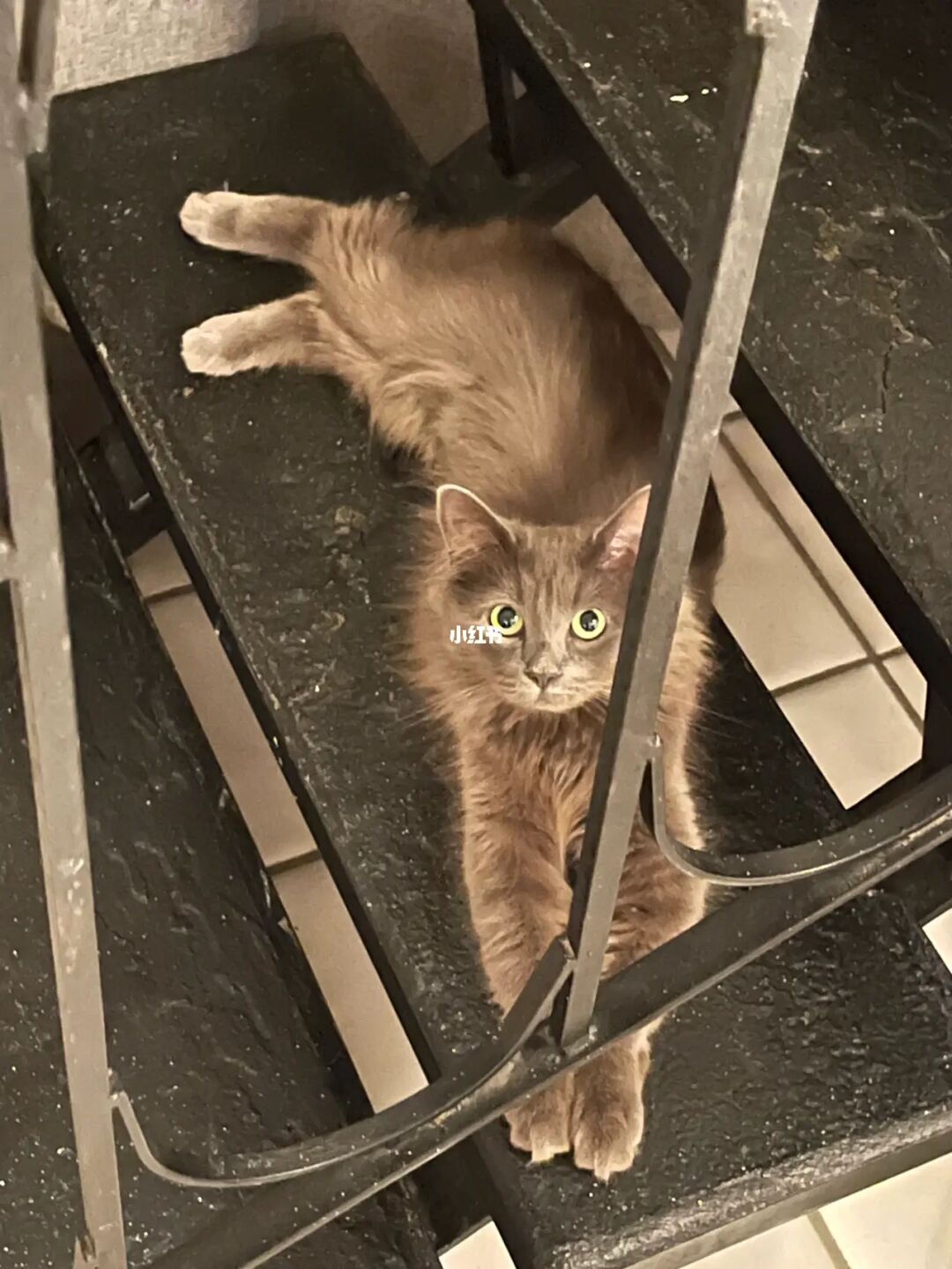 躲猫猫小游戏_躲猫猫游戏小说免费阅读_躲猫猫游戏小浪和秀儿的游戏