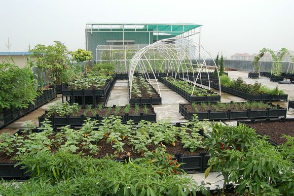 休闲种菜游戏单机_生存种植游戏_休闲种菜生存游戏手机