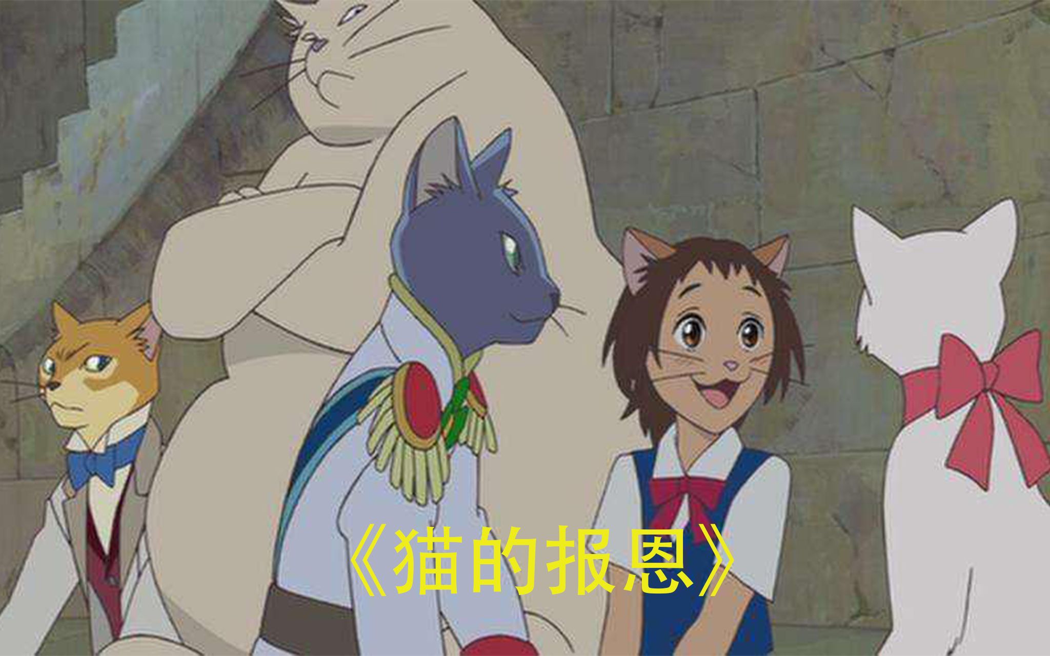 猫国物语txt_猫国物语系列_奇猫国