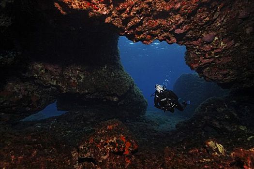 水族类游戏_水族馆单机游戏_水族手机游戏