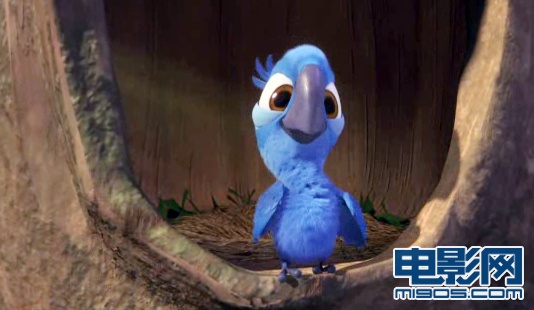 里约大冒险在线观看完整版西瓜_里约大冒险全集免费观看_里约大冒险1免费观看完整版