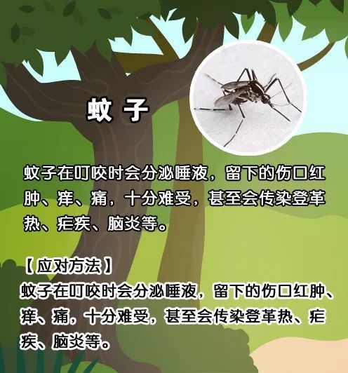 全国疟疾日定在哪一天_2021年全国疟疾日_全国疟疾日