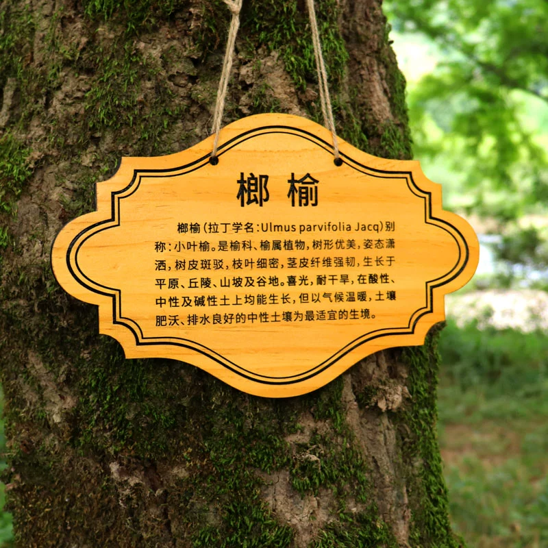 植树节的意义和目的_植树节表演节目有哪些_植树节节目