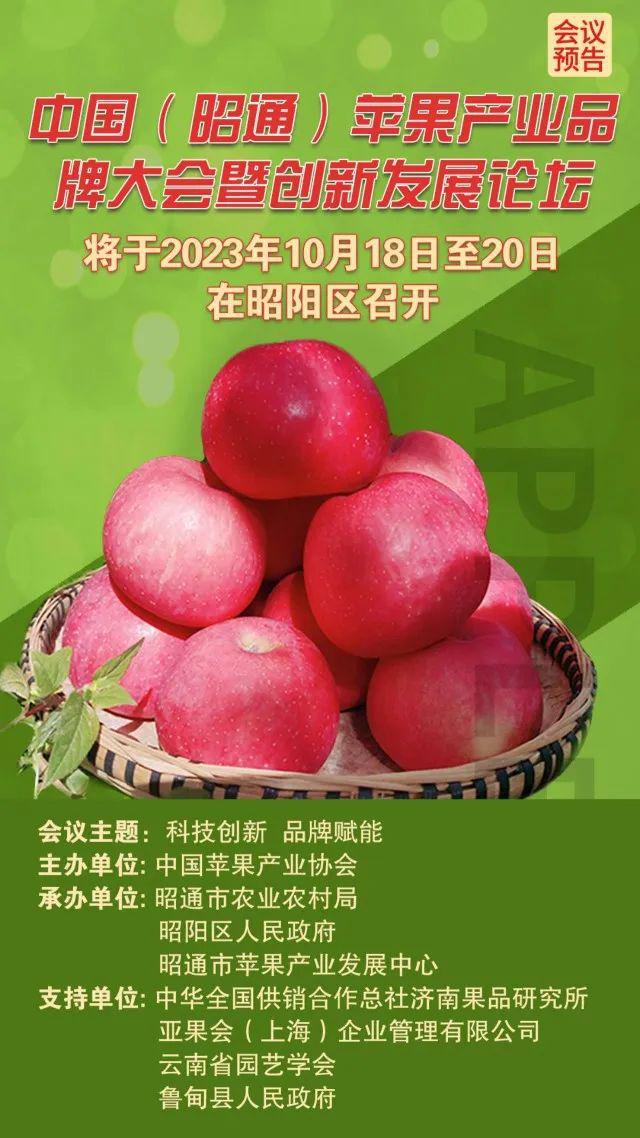 苹果官网13pro价格_官网苹果价格_15官网苹果价格