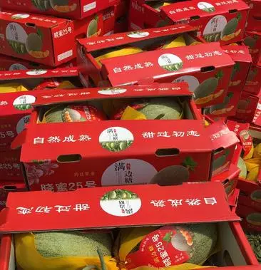 淘宝批发1688官网：买家必看！真假辨别、供应商找寻、退换货解决