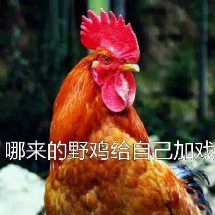 推荐手机吃鸡游戏的视频-手机吃鸡新玩法，身临其境体验战场刺激