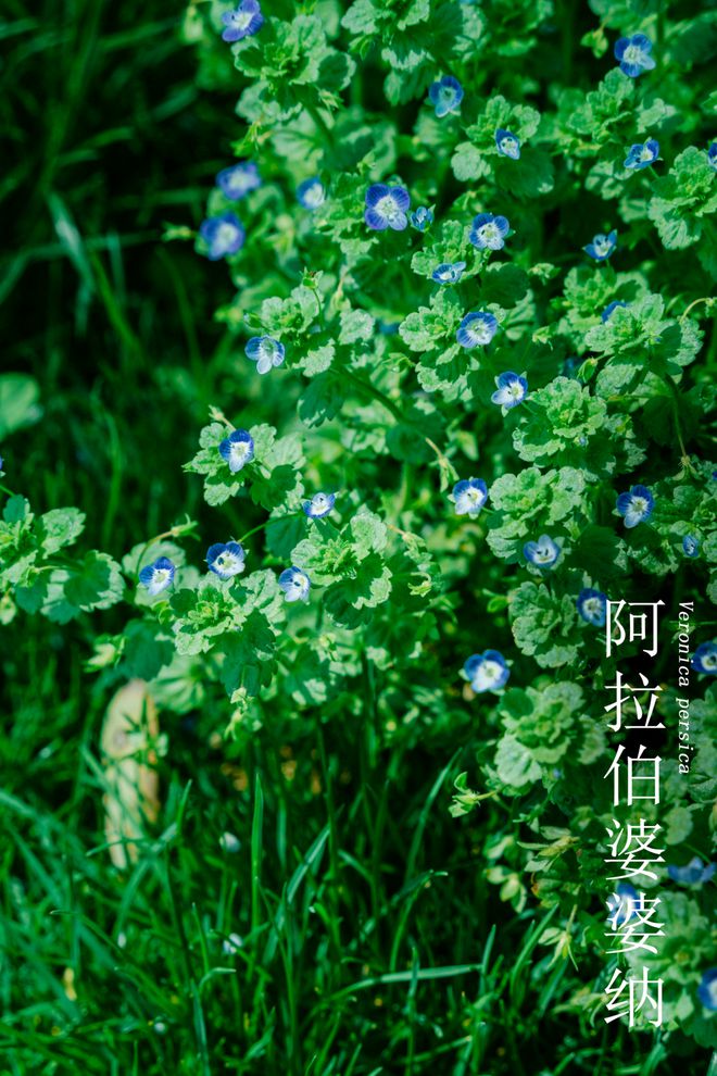 好玩的像素解谜游戏手机_治愈系像素游戏_像素治愈解密游戏手机游戏