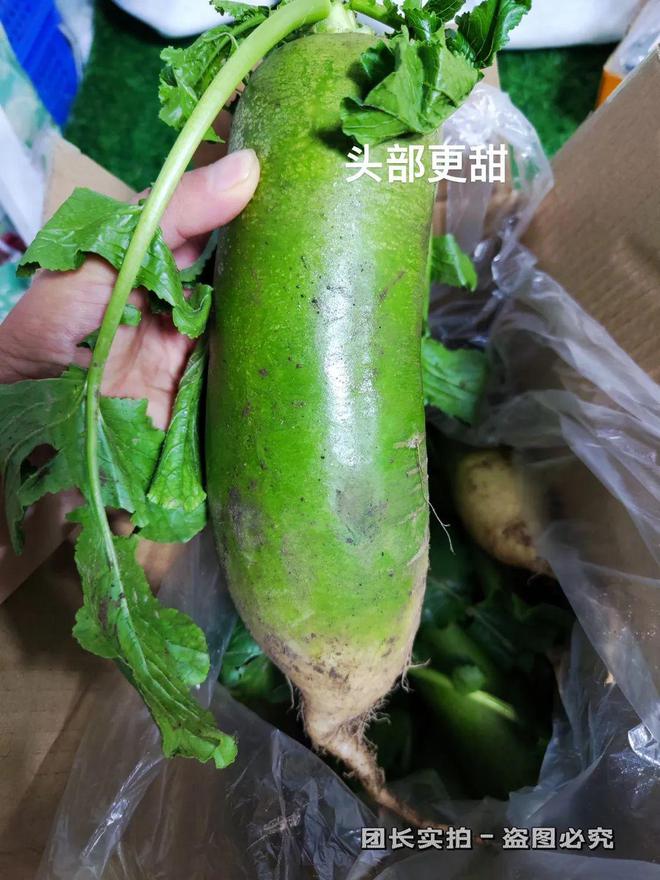 好玩自带软件手机游戏有哪些_好玩有用的手机软件_手机自带好玩的软件游戏