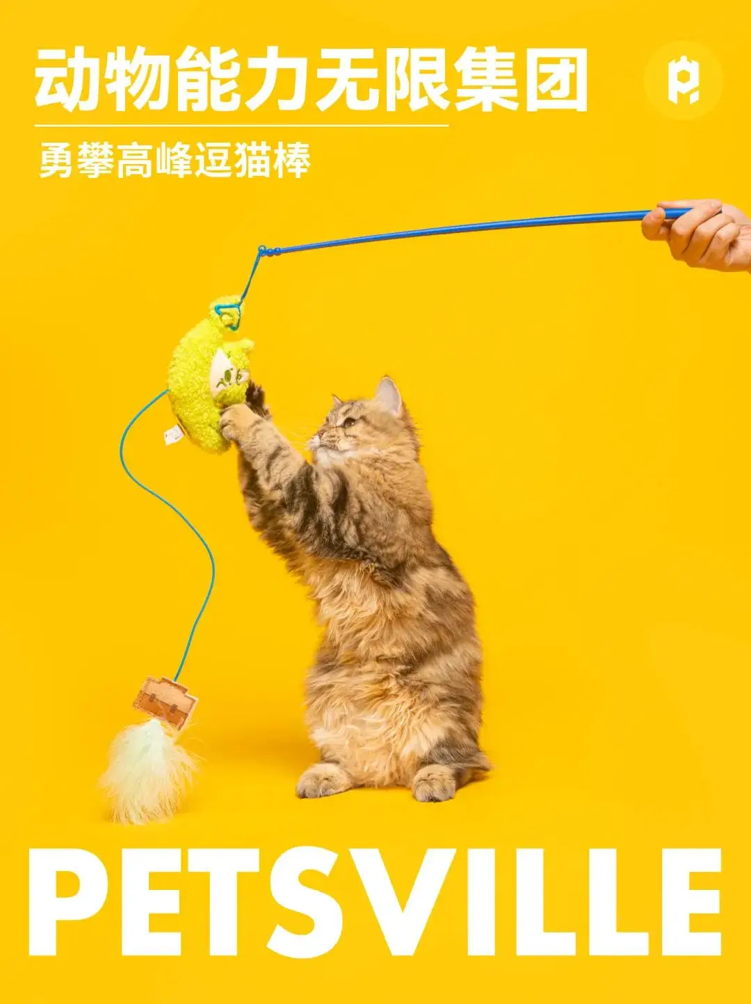 养宠物的小游戏_养宠物小游戏手机游戏_养宠的手游