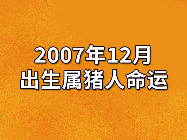 属猪好的出生月份_属猪的几月出生最好_属猪的那个月出生不好