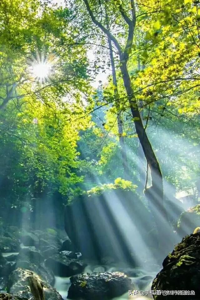 头条手机游戏在哪里找_头条的游戏在哪里找_头条找手机游戏账号