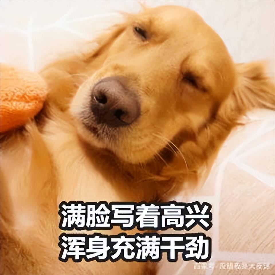 梗小鬼有多恶心_梗小鬼表情包_梗小鬼