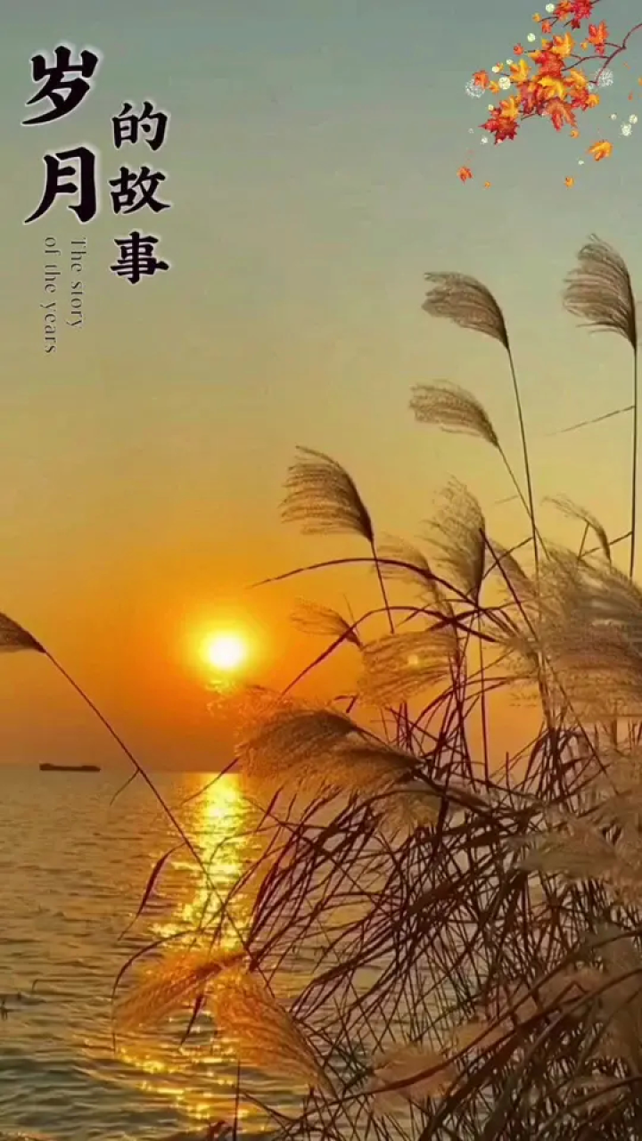 小米手机录像游戏_录像小米手机游戏怎么开_录像小米手机游戏怎么用