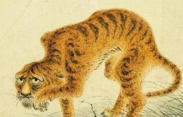 简笔画老虎头图片_老虎头图片_老虎头图片大全大图图片