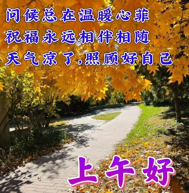 优雅手机游戏怎么玩_优雅手机游戏_很优雅的游戏
