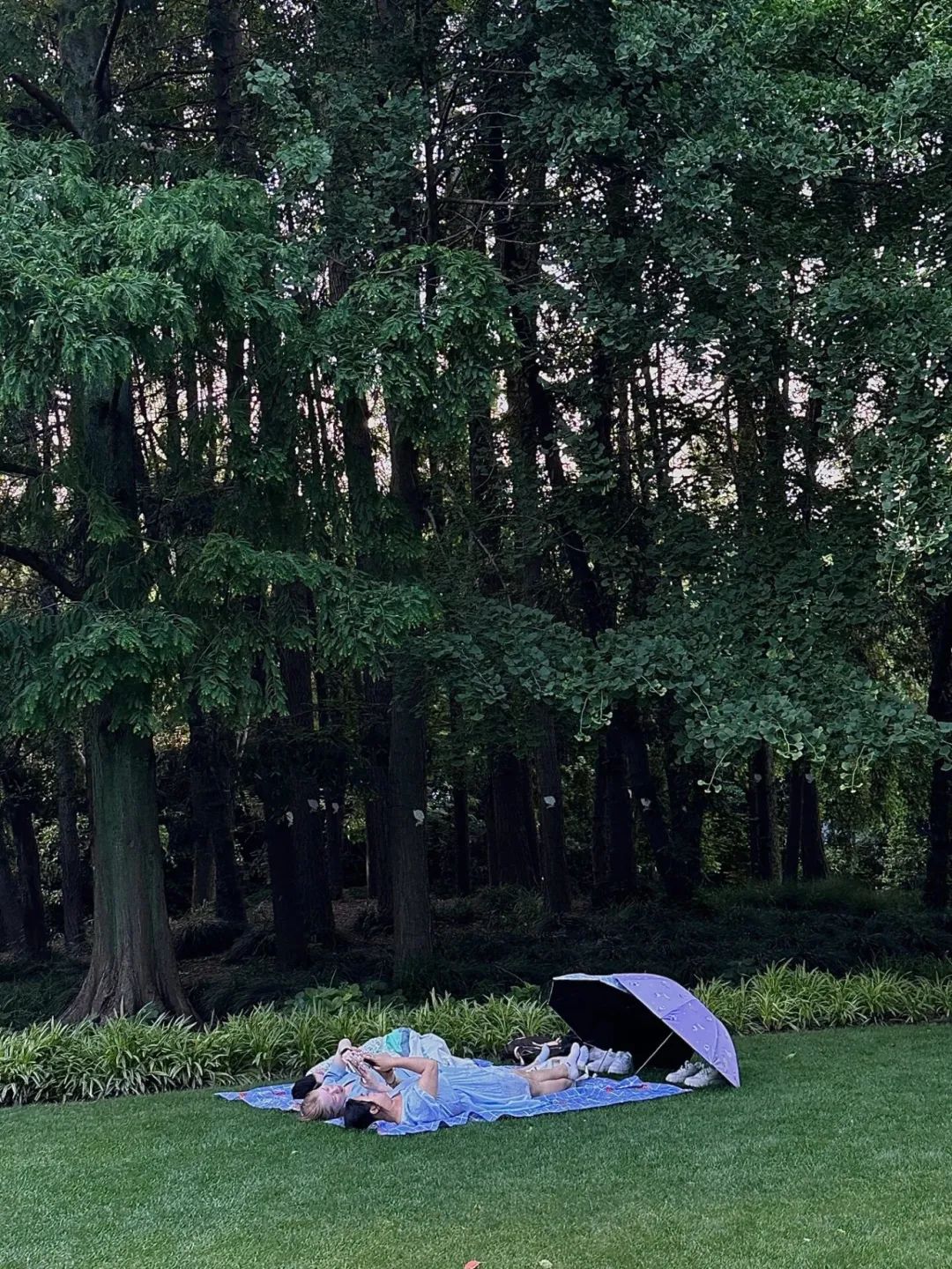 樱花系列游戏手机版_樱花游戏app_樱花游戏下载手机