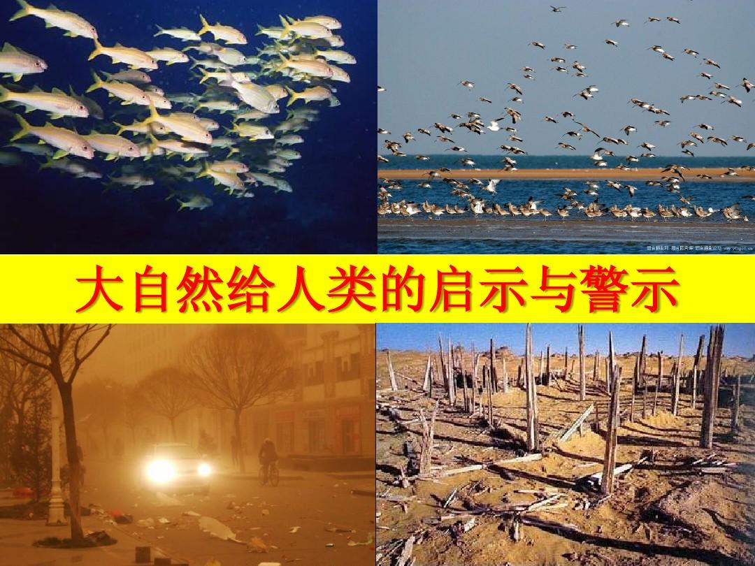 渡红尘_渡渡_渡佛