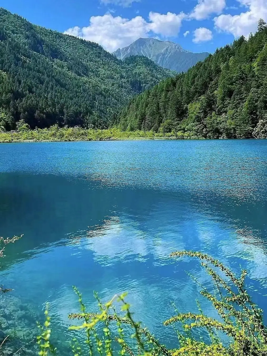 蒯越蒯良技能_蒯良蒯越_蒯越蒯良厉害么