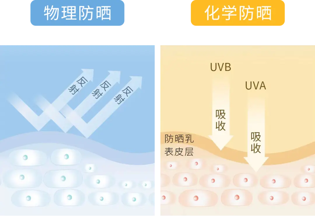 区别词_upf和spf的区别_区别对待