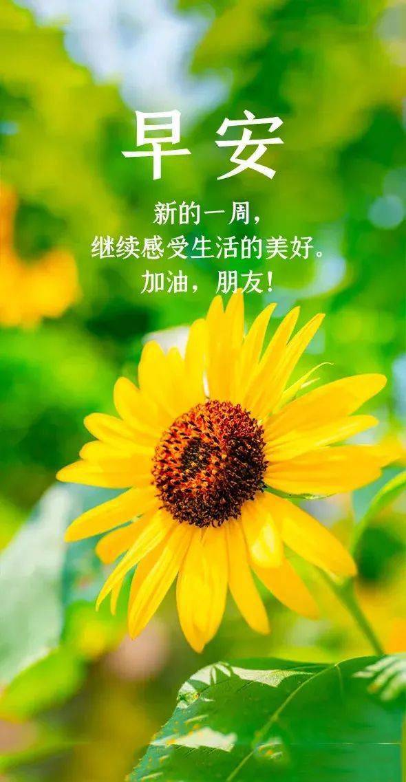月经推迟不来什么原因_月亮_6月11