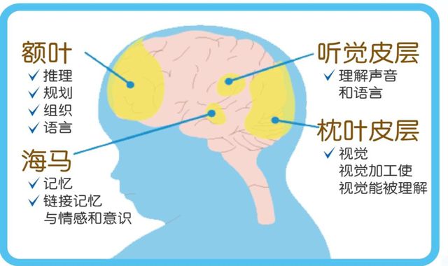 蒙奇_蒙奇d路飞d_蒙奇d卡普