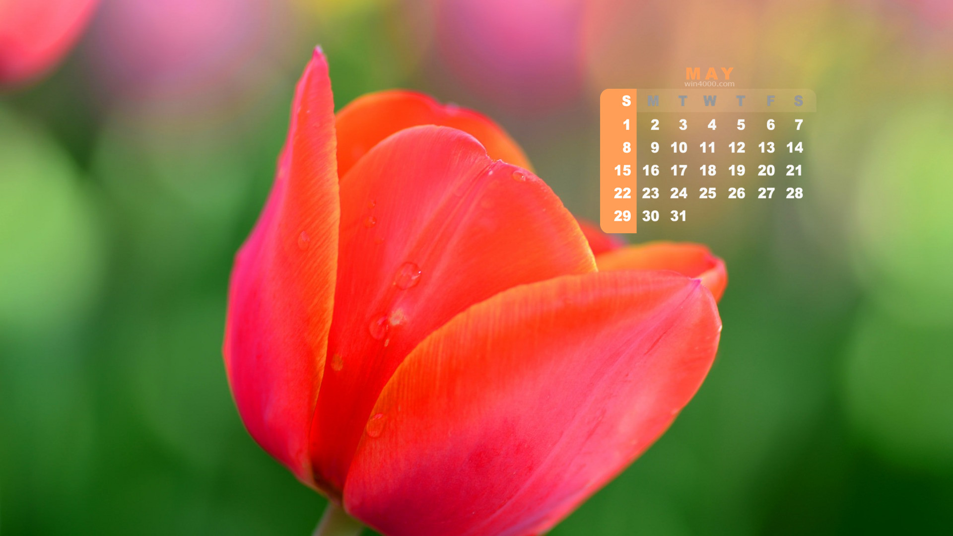 5月桌面日历_日历桌面图标_桌面月历app