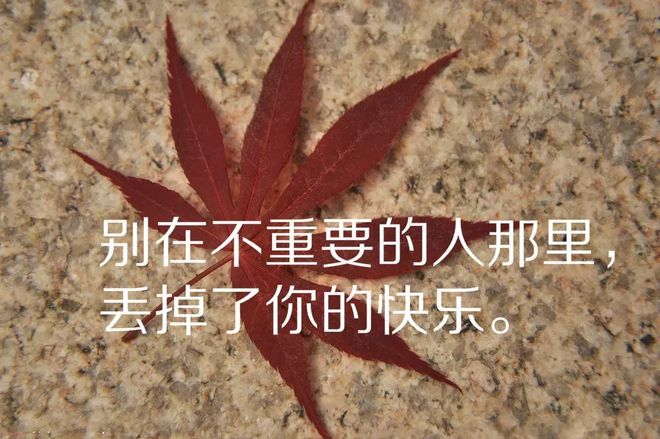 原创阿玛迪斯_阿玛迪斯歌曲_阿玛迪斯
