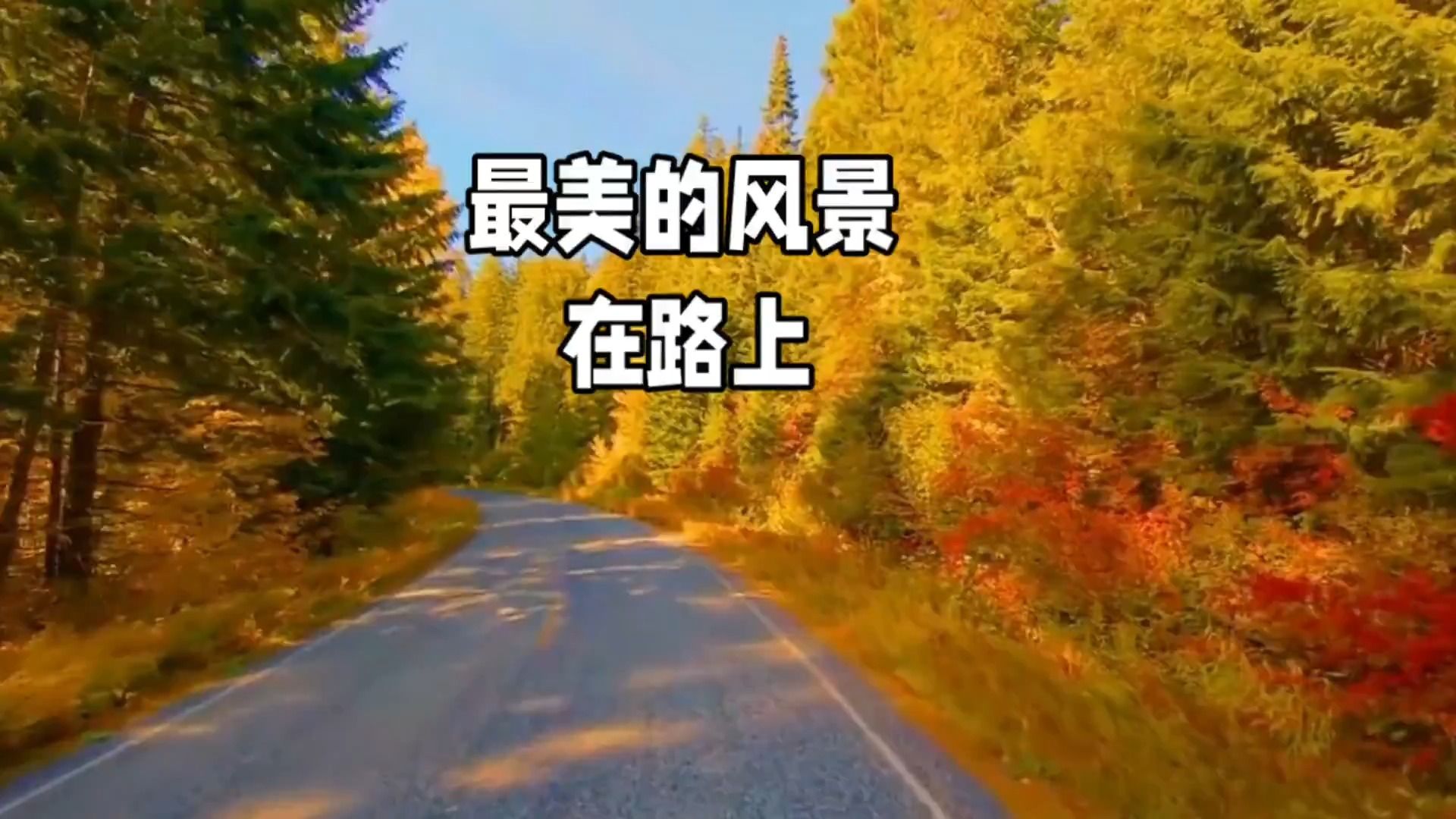 开心向前飞的舞蹈_开心向前飞_开心向前飞歌曲