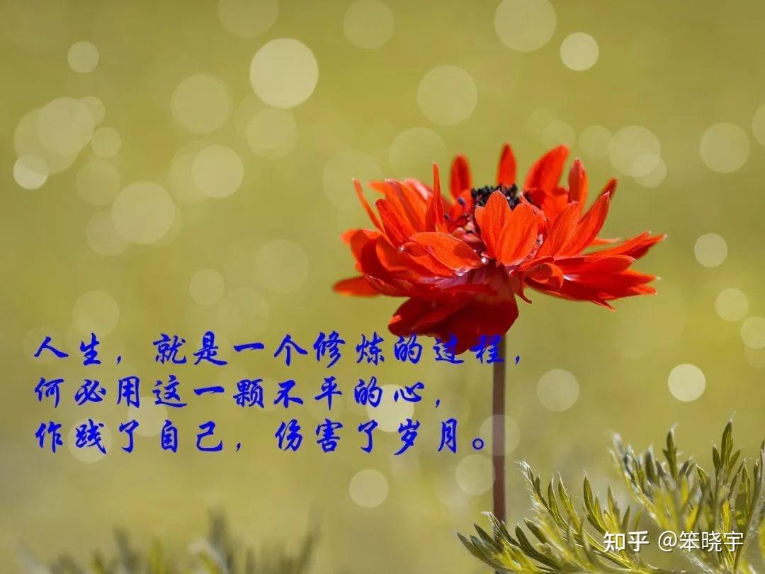 姆色塔拉方什么意思_色姆姆_姆色斯
