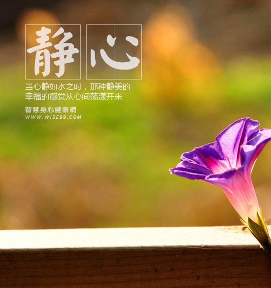 西尔口腔_西尔莎罗南_西尔维亚