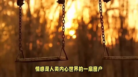 神与神明的区别_神与神_神与神的对决