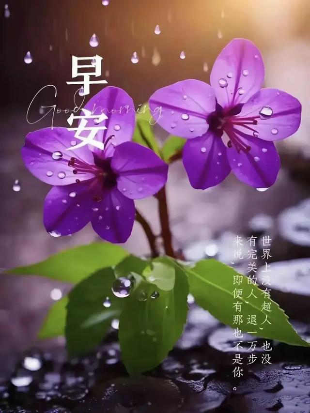 手机游戏弹出桌面_桌面上怎么打开手机游戏_手机游戏界面出现显示栏