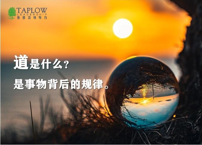 读书郎智慧课堂：用科技激发孩子好奇心，点燃知识渴望