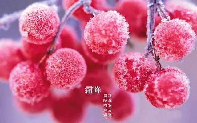 今天霜降_今天霜降是几月几日几时_霜降是今天吗