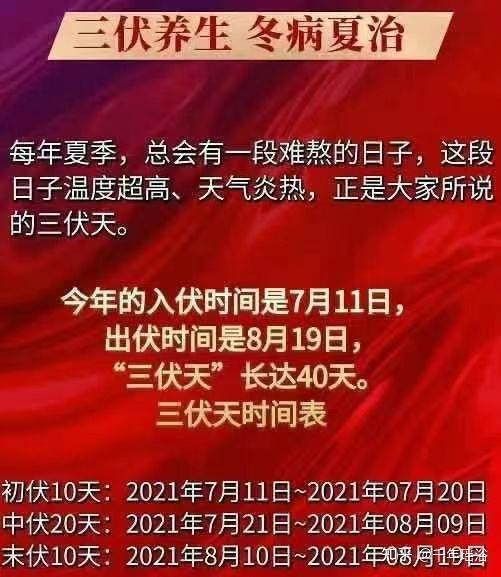 三伏天要怎么调理身体_三伏天调理体质_三伏如何调理身体