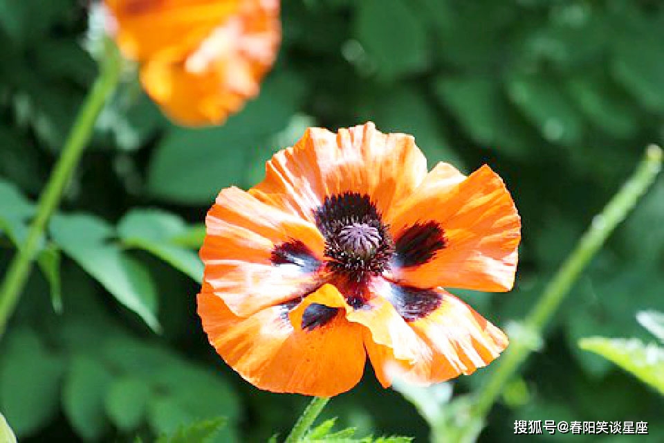 原罪rpg_单机游戏原罪_手机中的七大原罪游戏