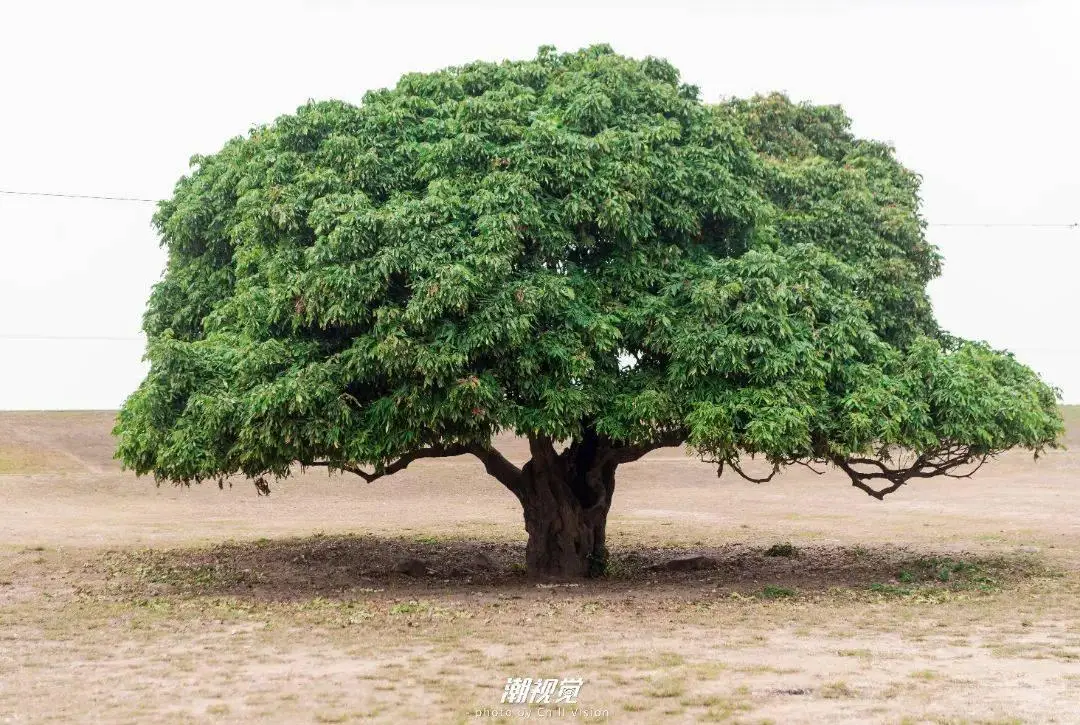 简影_南京简影_简影下载