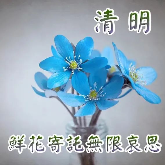 清明节文字素材-清明时节雨纷纷，墓前思念寄深情