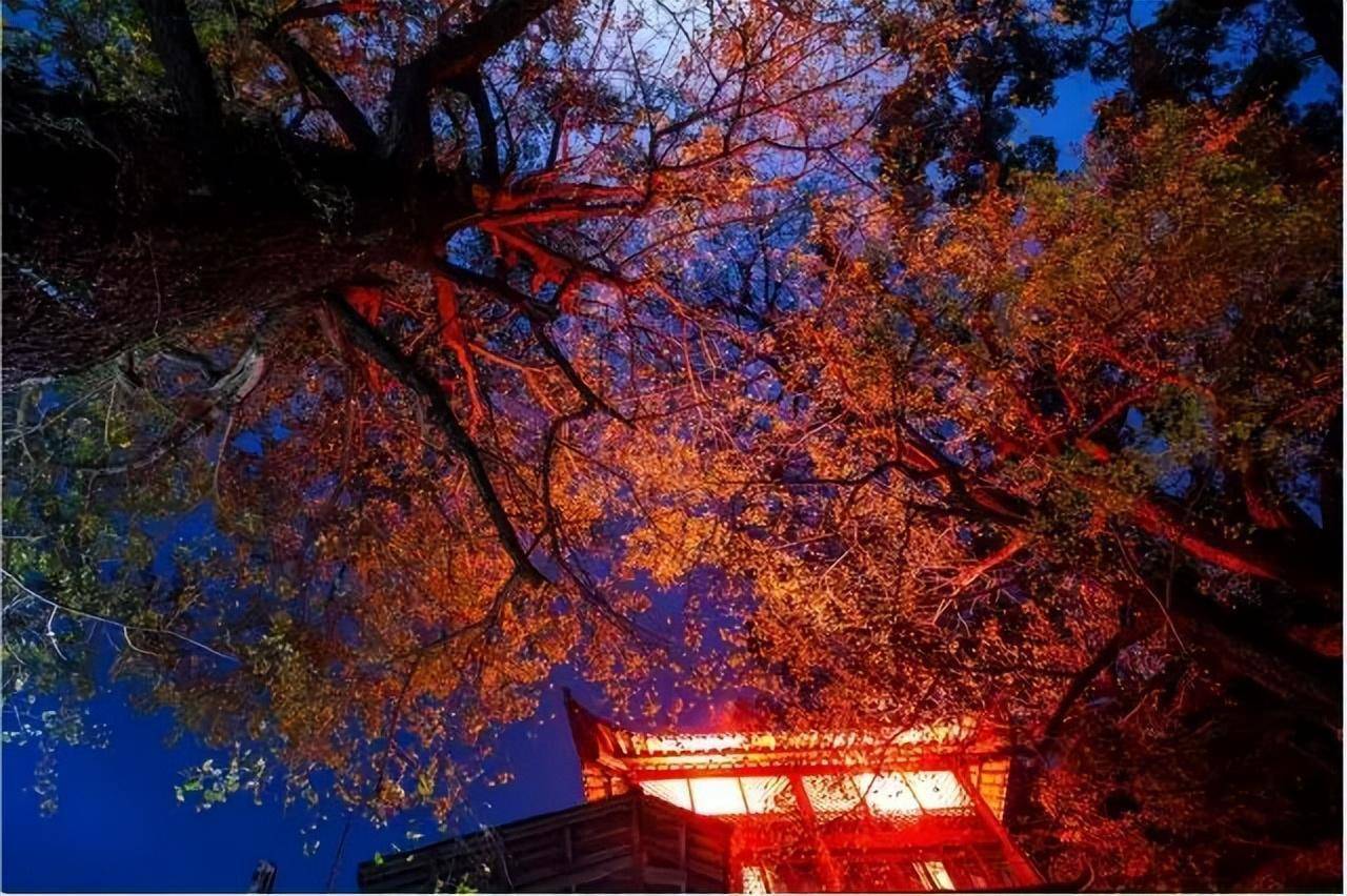 婺源手机游戏_婺源手机游戏公司_婺源手机游戏培训机构