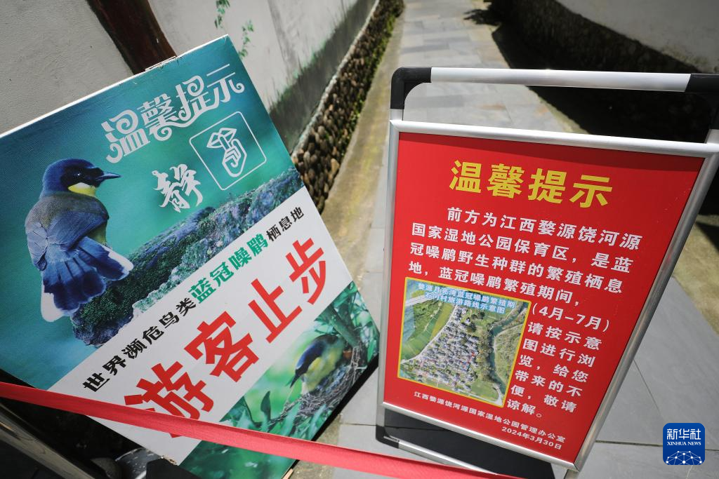 婺源手机游戏培训机构_婺源手机游戏_婺源手机游戏公司