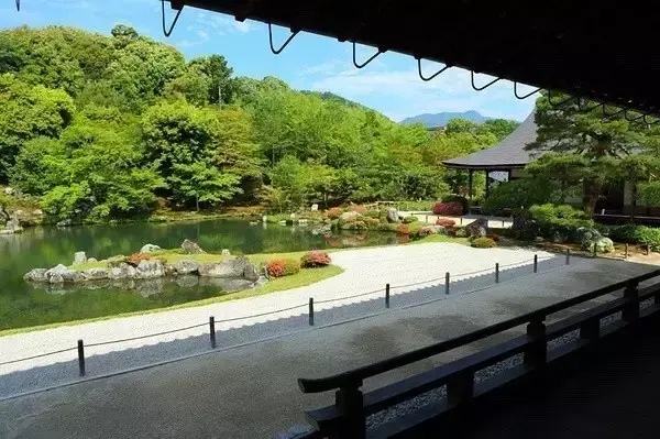 霍克伍德百度百科_霍克伍德有几瓶药_霍克伍德